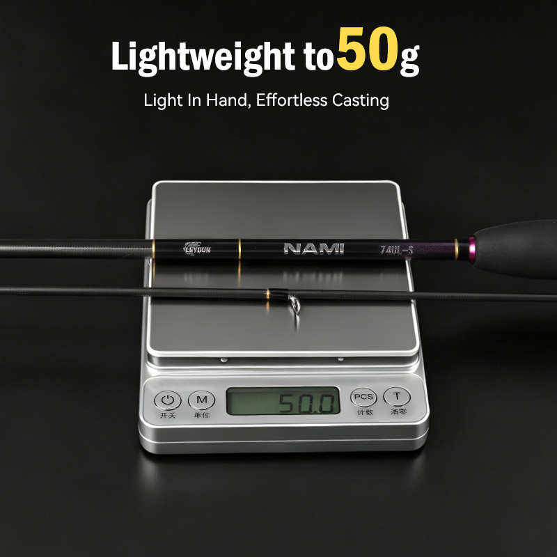 LEYDUN NAMI 초경량 아징 록 낚싯대 50g S - Fishing Rod Surf 리뷰 및 가격